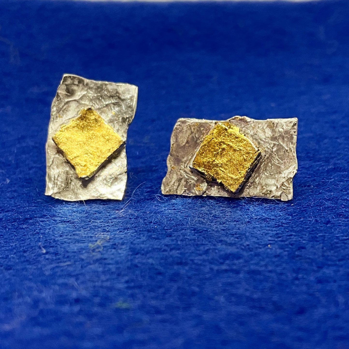 Warm and Luxurious Silver and Gold Ear Studs