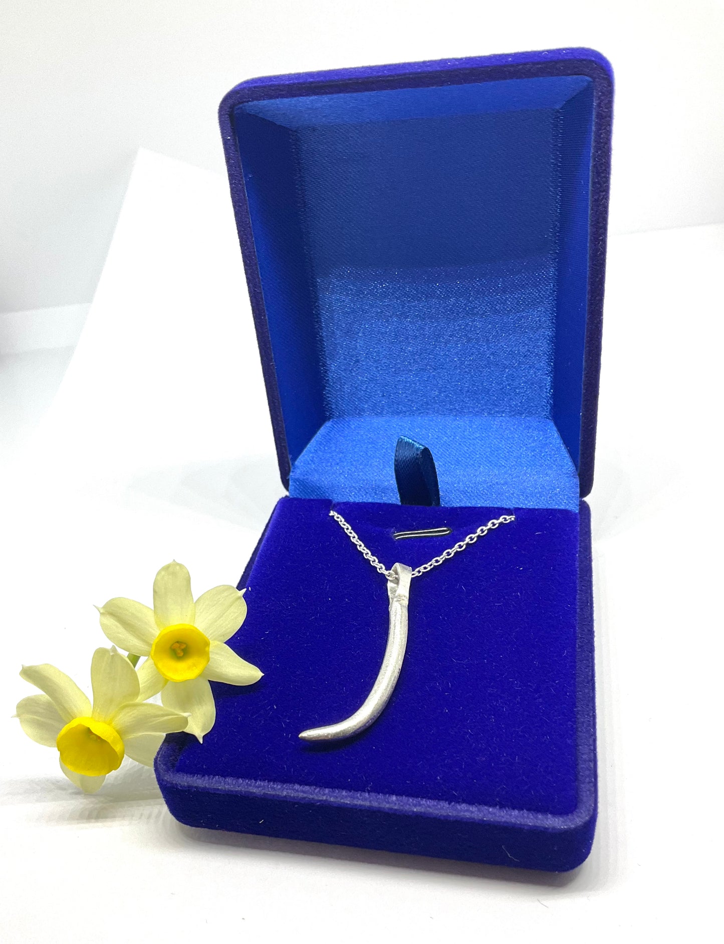 Silver Pendant and Chain.