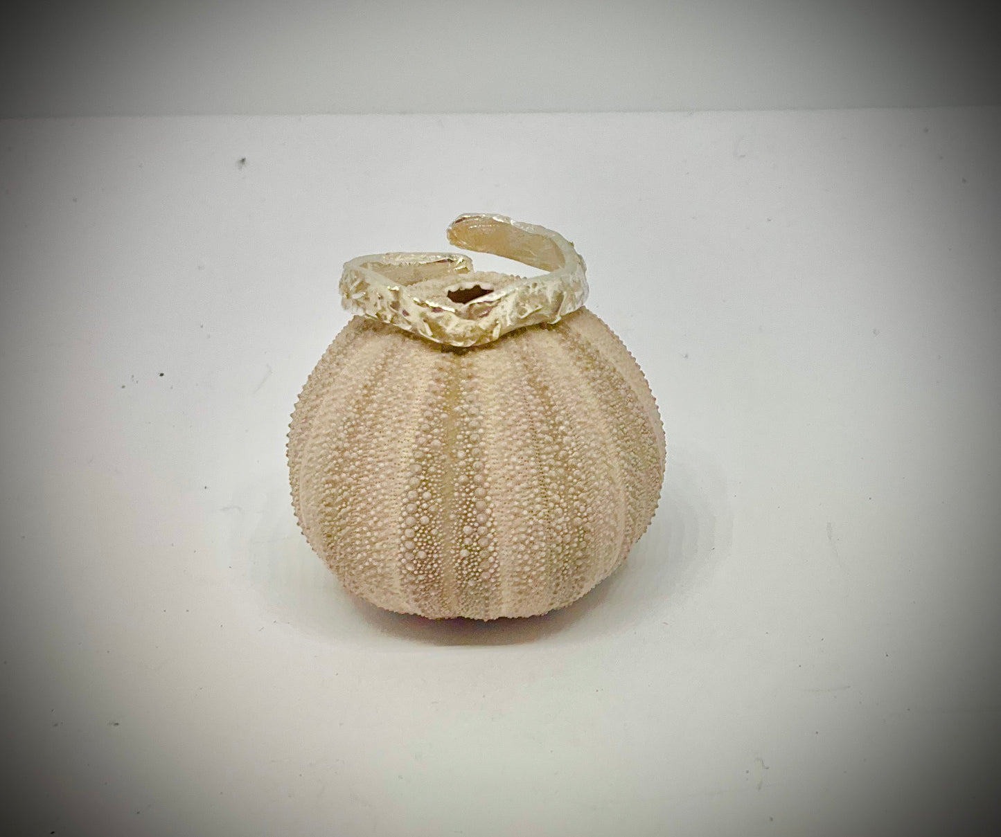 Open Ring Solid Silver 9ct Gold Chips